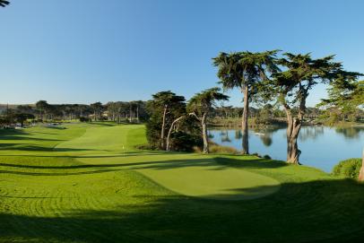 TPC Harding Park