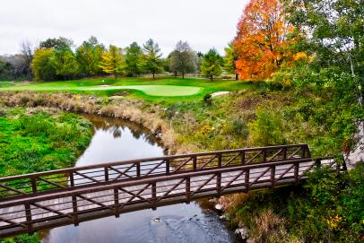 88. (91) The Bull At Pinehurst Farms